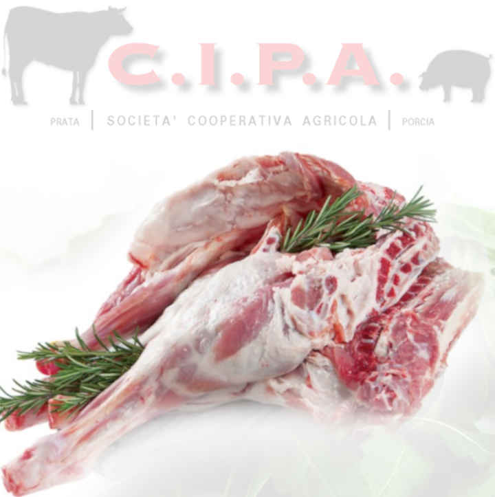 AGNELLO a busto